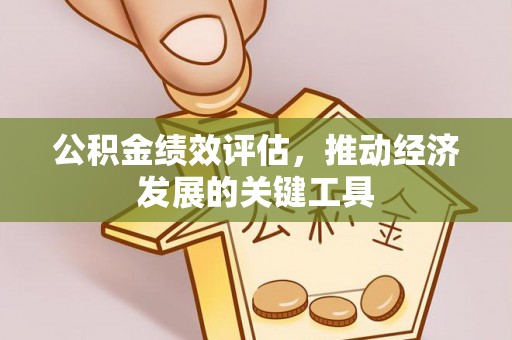 金秀公积金绩效评估，推动经济发展的关键工具