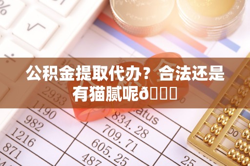 金秀公积金提取代办？合法还是有猫腻呢😏